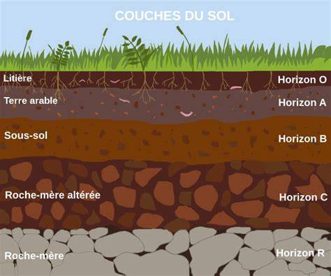 diagramme des couches du gâteau sans cuisson