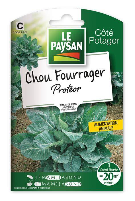 sol idéal pour chou fourrager demi-moëllier blanc