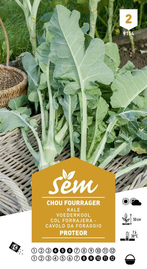 utilisation animale du chou fourrager