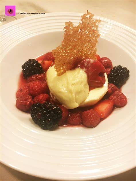mousse fruits rouges et inserts pana cotta