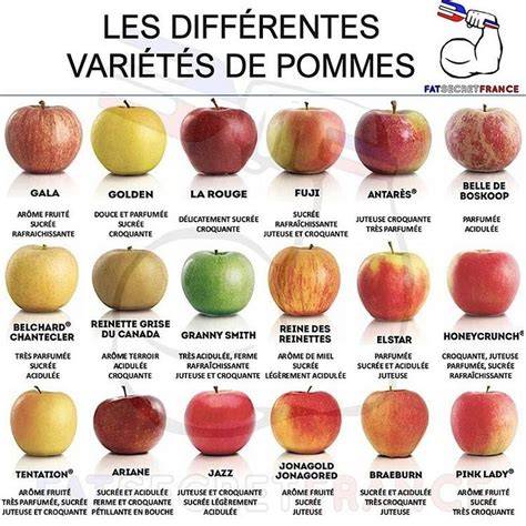 variétés de pommes crumble explications