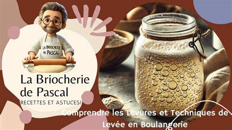 illustration briocherie et levains